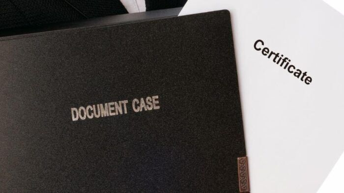 HOW TO GET A REPLACEMENT NATURALISATION CERTIFICATE visual data 2